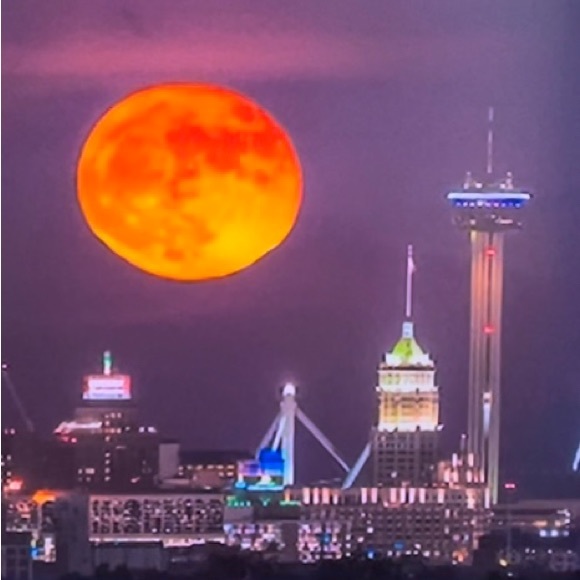 Meet the Posher - Picture 1 of 1